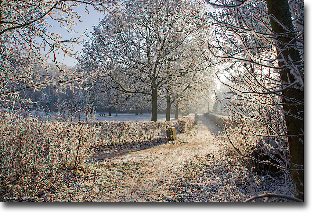 11. Winter /Willem Kox